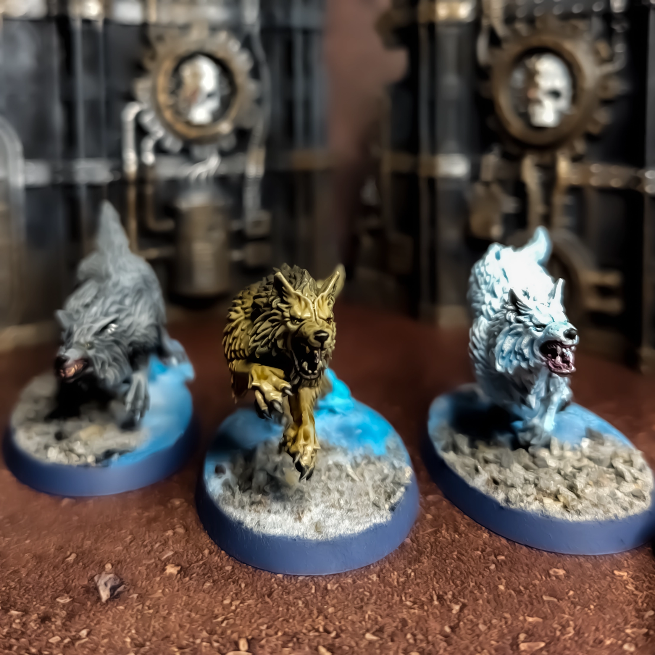 Three Hunting Wolves from the wolfguard Headtakers. One black, one brown and one white. Basic Tier.